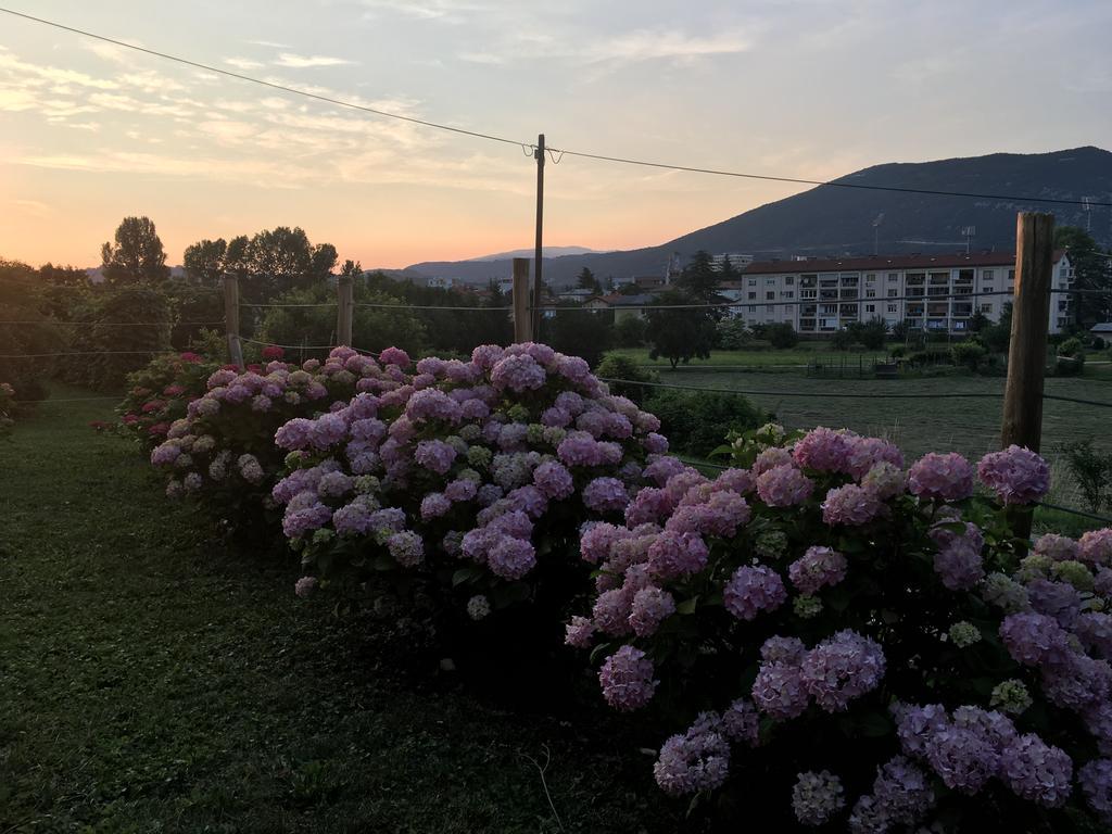 Apartment Nova Gorica - Nocitve Falco Kültér fotó